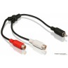 Stereo Y Cable, Cinch (Tulp) - 2x Cinch (tulp)